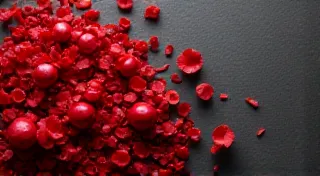 A Symphony in Scarlet: The Runner Bean's Dramatic Flourish